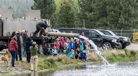 Fourth graders across Plumas County go fishing - Plumas News