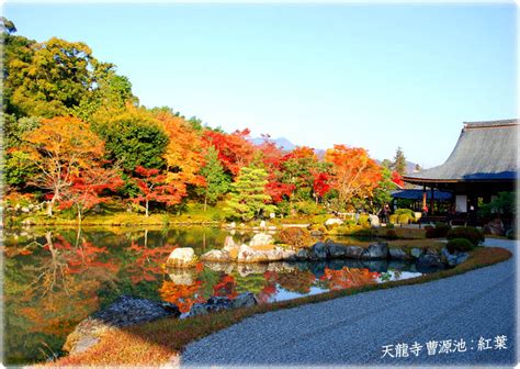 天龍寺 紅葉