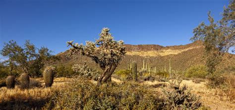 A Panoramic Desert Landscape at the Phoenix Sonoran Preserve in Arizona ...