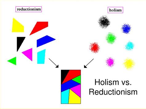 PPT - Holism vs. Reductionism PowerPoint Presentation - ID:301559