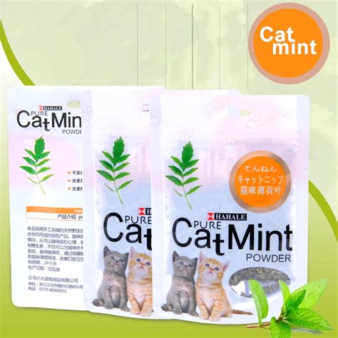 Natural Catnip Cat Toys Menthol Flavor Clean Teeth Healthy Care Funny