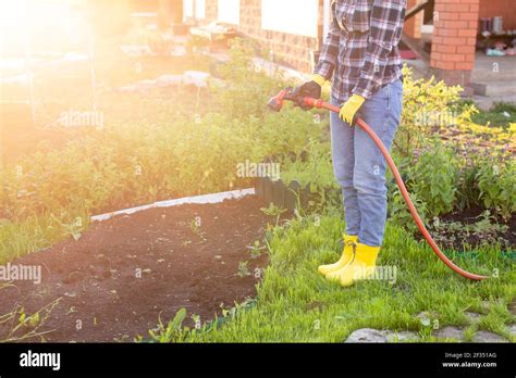 Mujer jardinera riego sus camas de jardín con manguera en el soleado