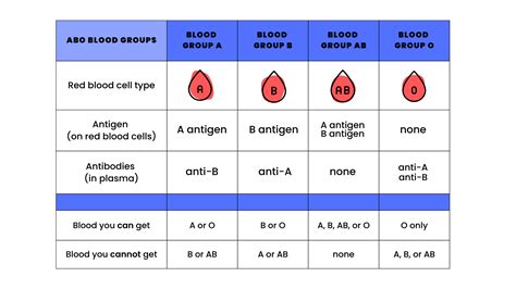 https://ts3.mm.bing.net/th?id=OIP.IHjJrSa3NOs0jPU4vgqmvwHaEK&pid=15.1