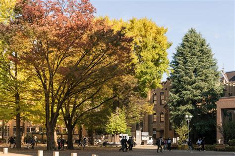 keio universitys autumn scenery mita hiyoshi yagami shonan