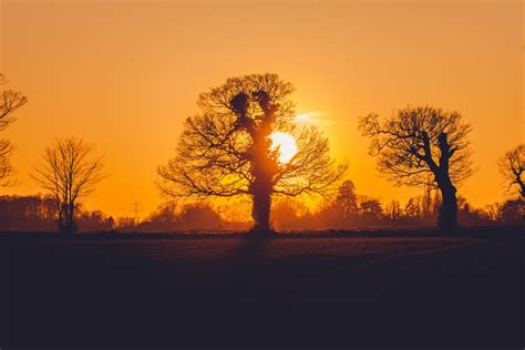 Free Images Landscape Tree Nature Grass Outdoor Horizon Branch