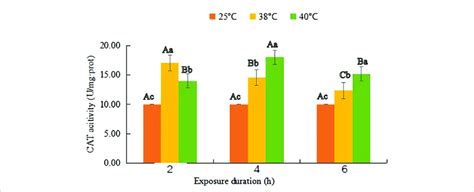 Catalase Cat Activity Mean Activity Value ± Sd In Adult Females Of