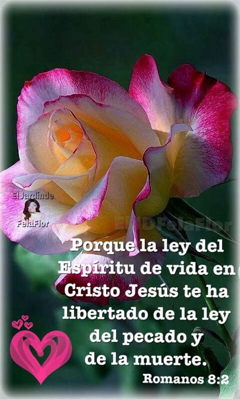 Porque La Ley Del Esp Ritu De Vida En Cristo Jes S Te Ha Libertado De