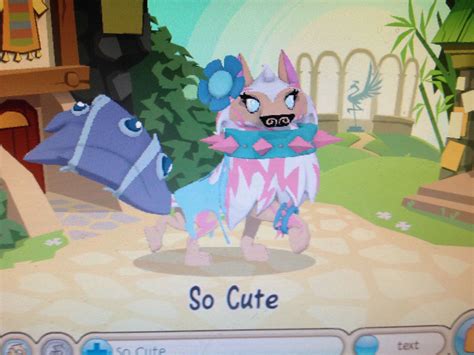 animal jam arctic wolves 8
