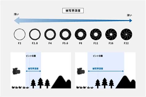 焦点距離とは？画角との関係など基礎知識を解説 Tamron タムロン