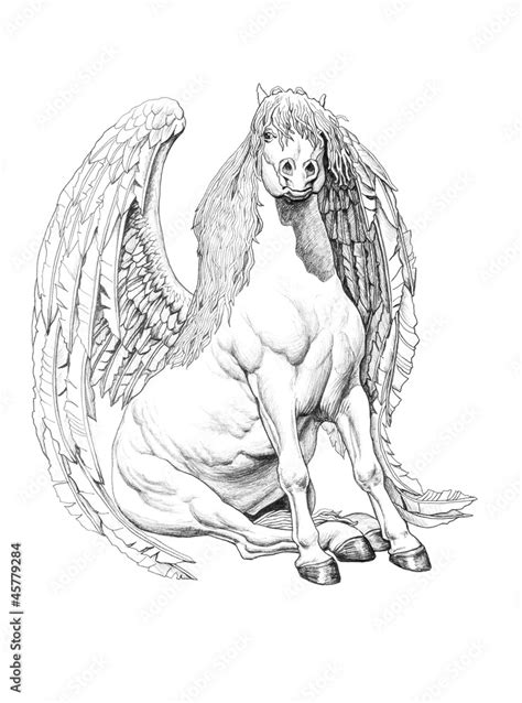 Pencil drawing of Pegasus Stock Photo | Adobe Stock