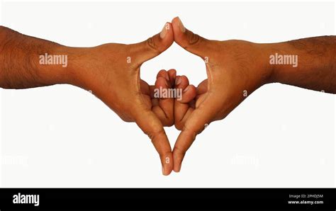 Hand Mudras It Includes Such Mudras Yoni Mudra Gestures Is Isolated