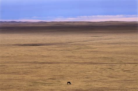 Mongolias Herders Fight Climate Change With Their Own Adaptability And