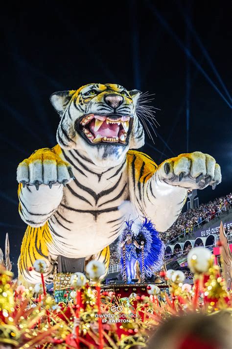 Desfile Porto Da Pedra 2024 Behance