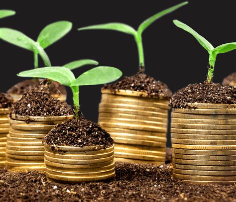 ip attractive  investors stanton ip law firm pa