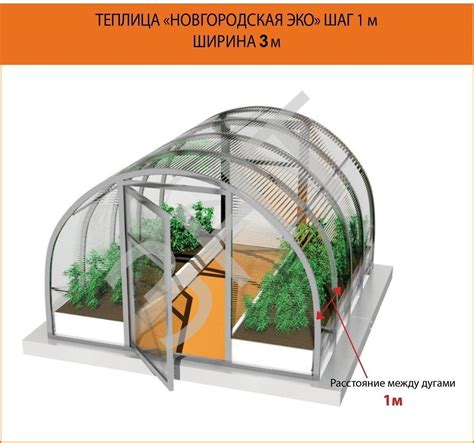 Теплица Новгородская ЭКО: ширина 3 метра, длина 6 метров, высота 2 ...