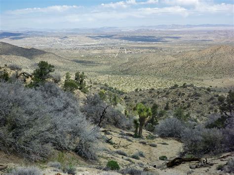 Yucca Valley Panorama Trail Joshua Tree National Park California