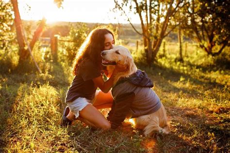 Qual O Melhor Amigo Do Homem - POR QUE O CACHORRO É CONSIDERADO O MELHOR AMIGO DO HOMEM?