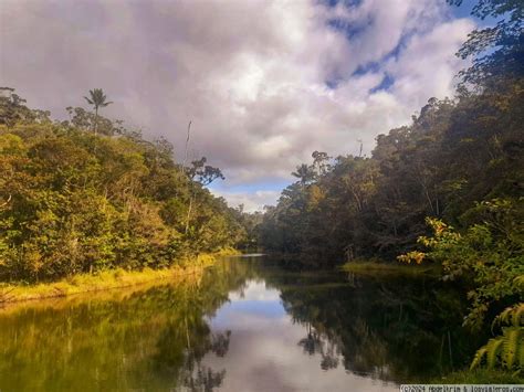 Buscar Roblox Anal En Los Viajeros Los Viajeros