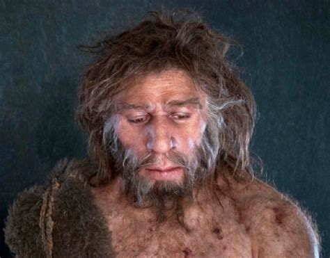 The Ancestor Of Neanderthals And Denisovans Interbred With A