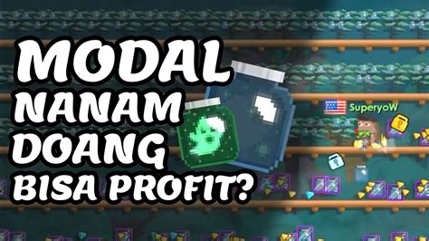 MASS 1000 GHOST JAR TREE PROFIT BERAPA ProfitGakSih Eps 42