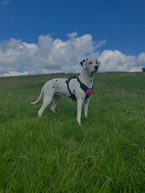 Millets - We've put together an extensive guide on family friendly