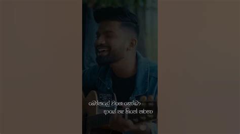 Hande Hawa 😍 හදේ හාවා අකා මකා Janith Iddamalgoda Music Lyrics