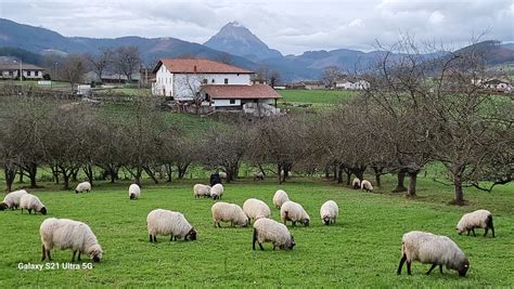 arratsaldean hodeiak argiguneakin oñatitik udalaitz eitb eus Flickr