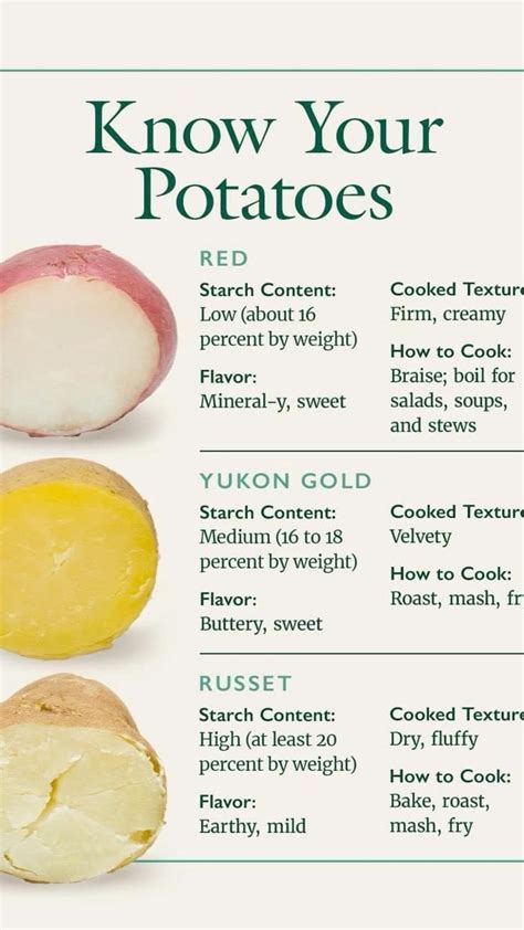 Types of Potatoes Infographic