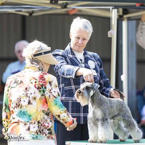 dogs victoria royal canin summer spectacular show manager results