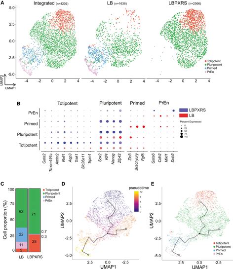 Cross Activation Of FGF NODAL And WNT Pathways Constrains BMP