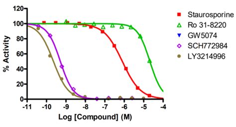 Erk2mapk1 Kinase Assay Service Reaction Biology