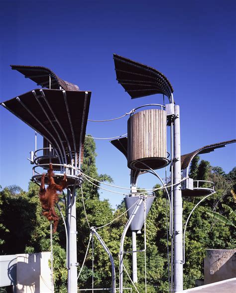 Perth Zoo Orang Utan Exhibit By Iredale Pedersen Hook 谷德设计网