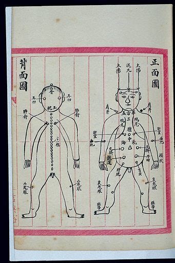 Anterior And Posterior Whole Body Acu Moxa Charts Chinese Free Public