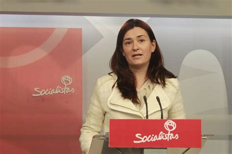 Psoe Pide Que Cuatro Ministros Expliquen En El Congreso Sus Medidas