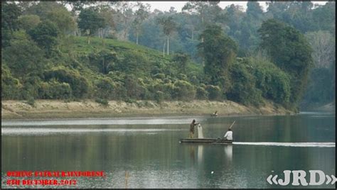 Dehing Patkai Rainforest Burhi Dihing River The River Ori Flickr