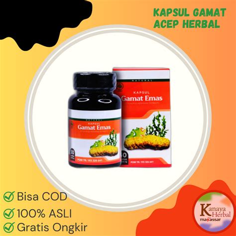 jual kapsul gamat acep herbal original jelly gamat kapsul shopee
