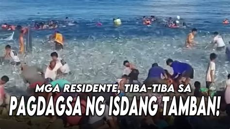 Mga Residente Tiba Tiba Sa Pagdagsa Ng Isdang Tamban Sa Brgy Basdiot