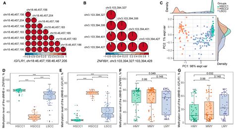 Ijms Free Full Text Genome Wide Dna Methylation And Transcriptome