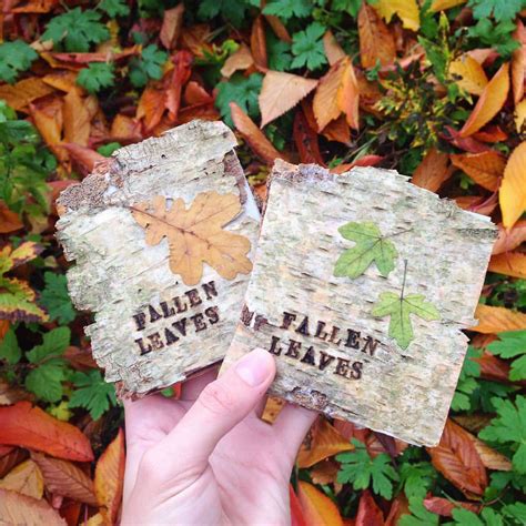 'Fallen Leaves' Book Art | The Dots | Book art, Autumn leaves, Leaf book