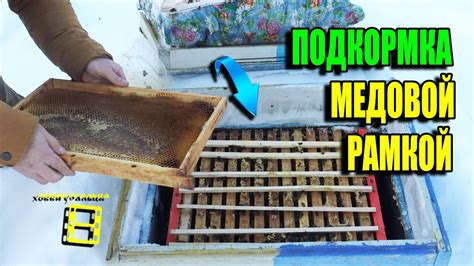 ПОДКОРМКА ПЧЕЛ В КОНЦЕ ЗИМЫ С ПОМОЩЬЮ МЕДОВЫХ РАМОК. ЛЮБИТЕЛЬСКОЕ ...
