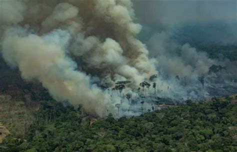 Desmatamento Cresce Em Todos Os Biomas E Aumenta 20 No Brasil Em 2021