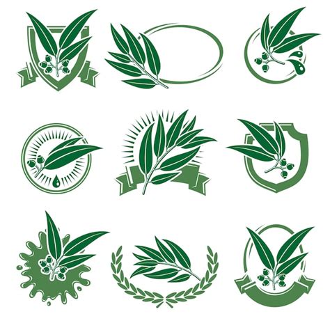 Premium Vector Eucalyptus Label And Icons Set Collection Icon