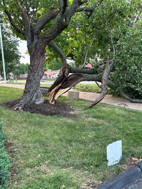 Arch Advanced Pain... - Arch Advanced Pain Management