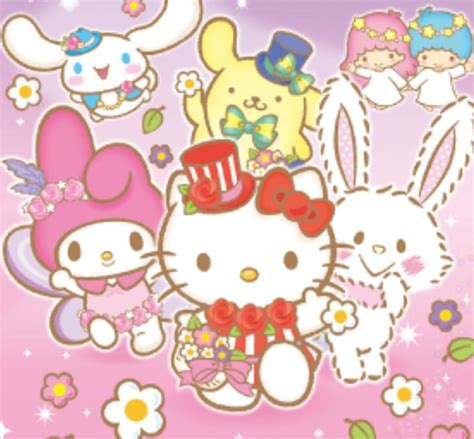 Sanrio Sanrio Characters Hello Kitty Kitty