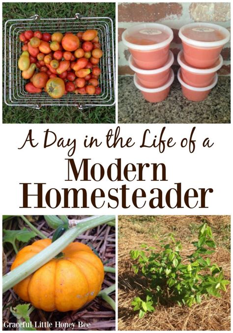 A Day in the Life of a Modern Homesteader (9/2/16) - Graceful Little Honey Bee