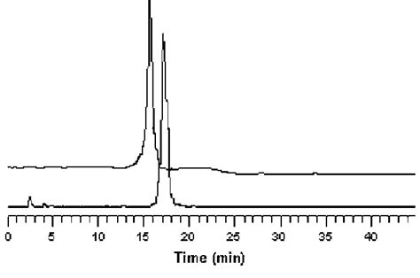 Reversed Phase High Performance Liquid Chromatography Rp Hplc