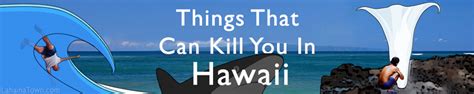 Anonib Hawaii: Is it Safe? (Everything You Need to Know) - uooq4rk