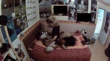 Hot Couple In Sexy Home Made Anal Porn300