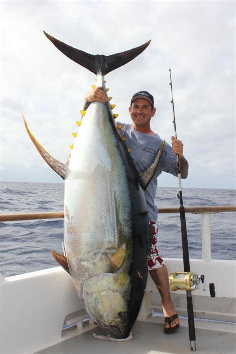World Record Bluefin Tuna 