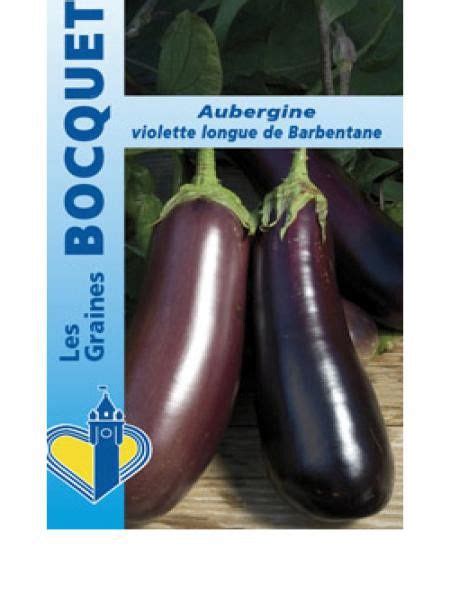 Aubergine Violette De Barbentane Solanum Melongena Le Jardin Du